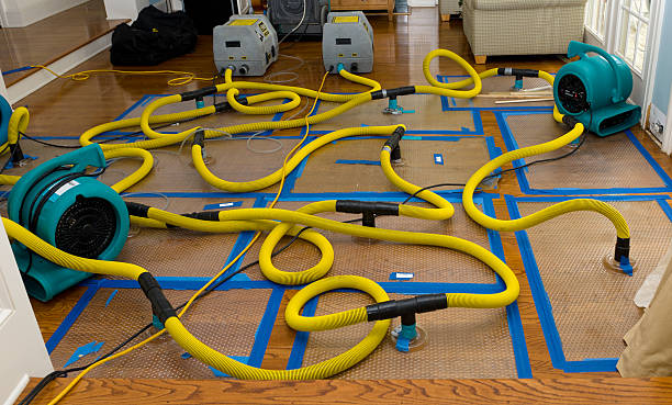 Professional Crawl Space Water Removal technician working in Rocky Mount, VA
